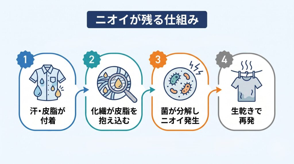 吸汗速乾の化学繊維が皮脂を抱え込み、雑菌が繁殖してニオイが発生し、生乾きで再発する仕組みの図解