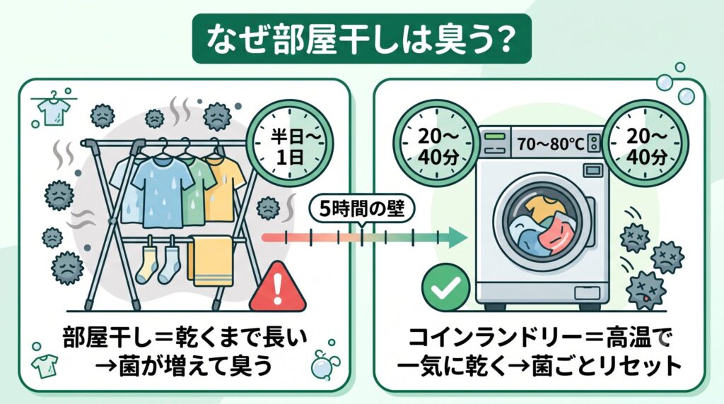 部屋干しは乾くまでに時間がかかりモラクセラ菌が増えて生乾き臭が発生するが、コインランドリーの高温乾燥なら短時間で乾いて菌ごとリセットできる、という生乾き臭の仕組みと解決策